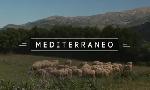 Revoir Mediterraneo 2025/2026 - intempo du 01 Aout
