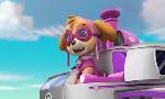 Revoir Paw patrol, la pat'patrouille du 03 Aout