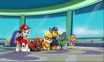 Revoir Paw patrol, la pat'patrouille du 03 Aout