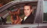 Revoir Rex, chien flic du 03 Aout