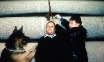 Revoir Rex, chien flic du 04 Aout