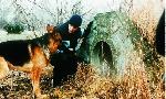 Revoir Rex, chien flic du 04 Aout