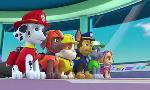 Revoir Paw patrol, la pat'patrouille du 05 Aout