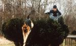 Revoir Rex, chien flic du 05 Aout