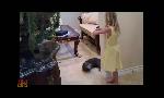 Revoir Hell's cat : mon chat est un cauchemar du 08 Aout