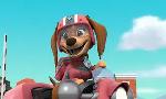 Revoir Paw patrol, la pat'patrouille du 10 Aout