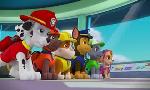 Revoir Paw patrol, la pat'patrouille du 11 Aout