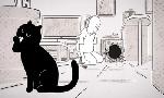 Revoir Putain de chat du 11 Aout