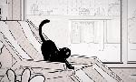 Revoir Putain de chat du 12 Aout
