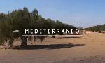 Revoir Mediterraneo 2025/2026 - intempo du 15 Aout