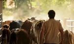 Revoir Le go�t du d�tail du 15 Aout