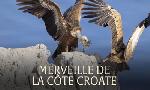 Revoir Le littoral sauvage du 17 Aout
