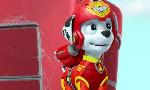 Revoir Paw patrol, la pat'patrouille du 17 Aout