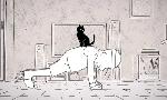 Revoir Putain de chat du 17 Aout