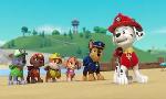 Revoir Paw patrol, la pat'patrouille du 19 Aout