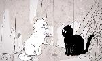 Revoir Putain de chat du 19 Aout