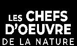 Revoir Les chefs d'oeuvre de la nature du 21 Aout