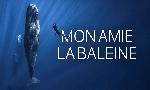 Revoir Documentaires du 22 Aout