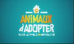 Revoir Animaux � adopter du 22 Aout