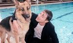Revoir Rex, chien flic du 24 Aout