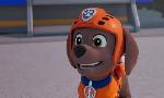 Revoir Paw patrol, la pat'patrouille du 26 Aout