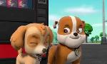 Revoir Paw patrol, la pat'patrouille du 26 Aout