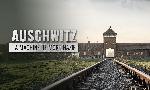 Revoir Documentaires du 25 Aout