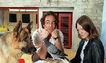 Revoir Rex, chien flic du 27 Aout