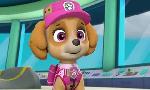 Revoir Paw patrol, la pat'patrouille du 29 Aout