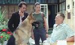Revoir Rex, chien flic du 31 Aout