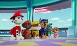 Revoir Paw patrol, la pat'patrouille du 01 Septembre