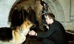 Revoir Rex, chien flic du 01 Septembre