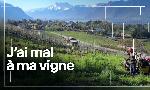 Revoir Temps pr�sent du 03 Septembre