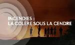 Revoir Incendies : la col�re sous les cendres du 04 Septembre