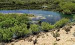 Revoir Invitation au voyage du 08 Septembre