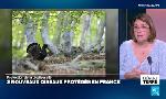 Revoir �l�ment terre, la quotidienne du 09 Septembre