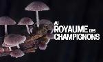 Revoir Le dessous des images du 17 Septembre