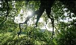 Revoir Documentaires du 19 Septembre