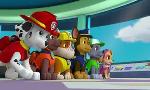 Revoir Paw patrol, la pat'patrouille du 22 Septembre