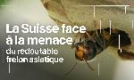 Revoir Temps pr�sent du 24 Septembre