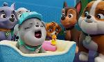 Revoir Paw patrol, la pat'patrouille du 25 Septembre