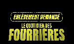 Revoir Enl�vement demand� : le quotidien des fourri�res du 25 Septembre
