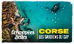 Revoir �chapp�es belles du 26 Septembre