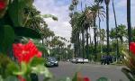 Revoir Amour, gloire et beaut� du 28 Septembre