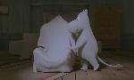 Revoir La vall�e des moomins du 29 Septembre