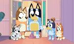 Revoir Bluey du 01 Octobre