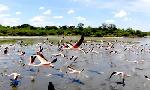 Revoir Le paraguay sauvage du 07 Octobre