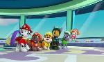 Revoir Paw patrol, la pat'patrouille du 07 Octobre