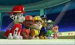 Revoir Paw patrol, la pat'patrouille du 08 Octobre