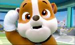 Revoir Paw patrol, la pat'patrouille du 08 Octobre